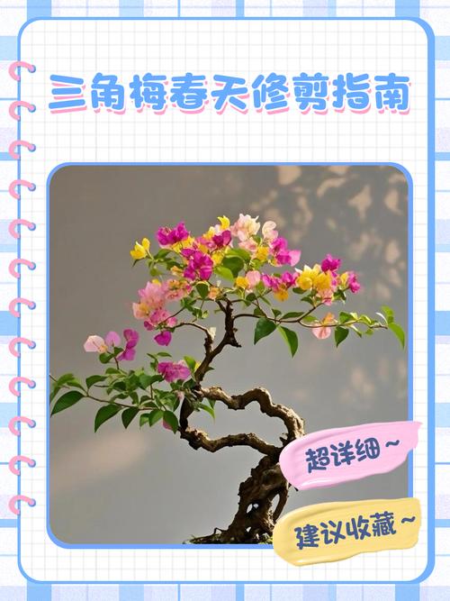 梅花盆栽修剪图解,新手如何掌握技巧?-第1张图片-吾爱花网 梅花盆栽修剪图解,新手如何掌握技巧?-第1张图片-吾爱花网