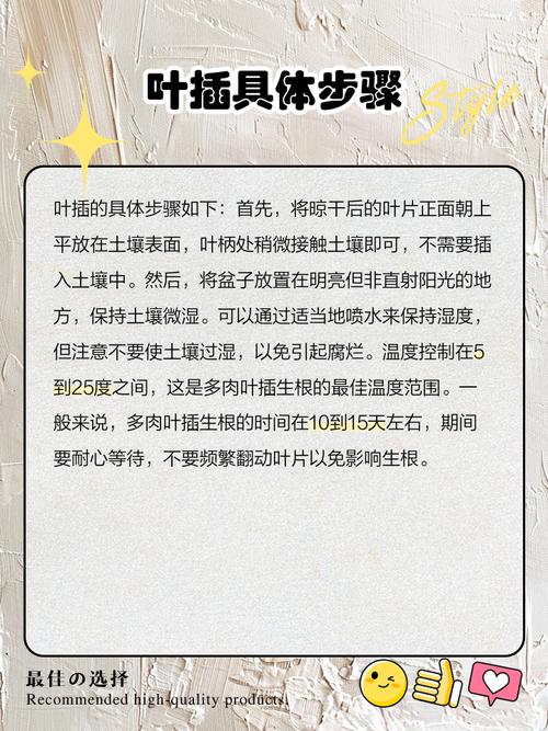 什么多肉品种适合叶插？-第2张图片-吾爱花网