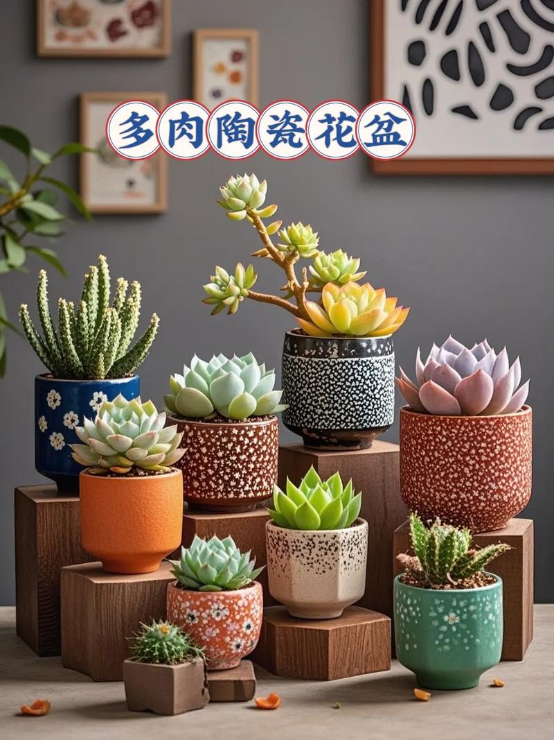 多肉花盆材质有哪些？-第2张图片-吾爱花网