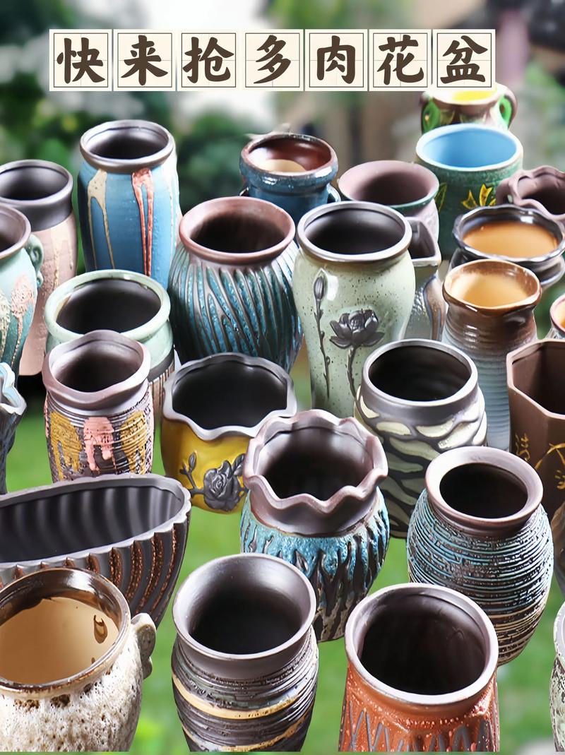 多肉花盆材质有哪些？-第3张图片-吾爱花网