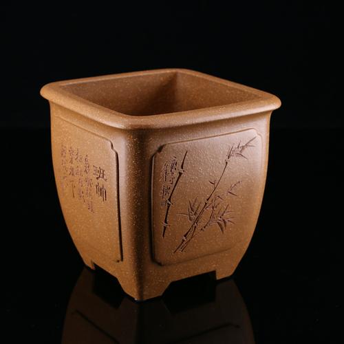 春兰紫沙盆栽有哪些经典样式？-第2张图片-吾爱花网