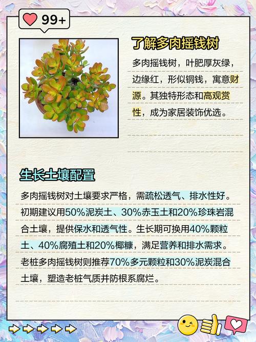 摇钱树多肉刺有毒吗？-第1张图片-吾爱花网