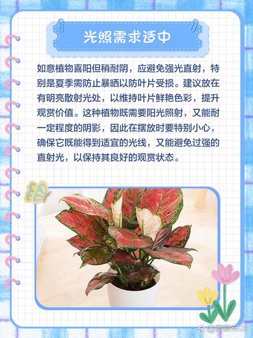 盆栽如意枯萎了还有救吗？-第1张图片-吾爱花网