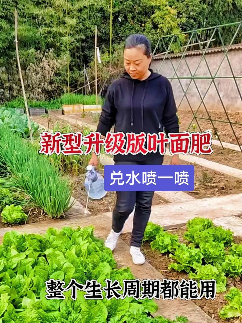 盆栽叶面喷施哪种肥水好?-第1张图片-吾爱花网 盆栽叶面喷施哪种肥水好?-第1张图片-吾爱花网