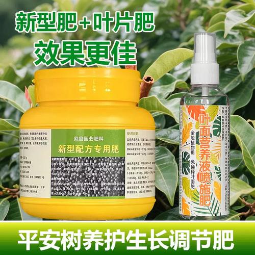 盆栽叶面喷施哪种肥水好？-第2张图片-吾爱花网