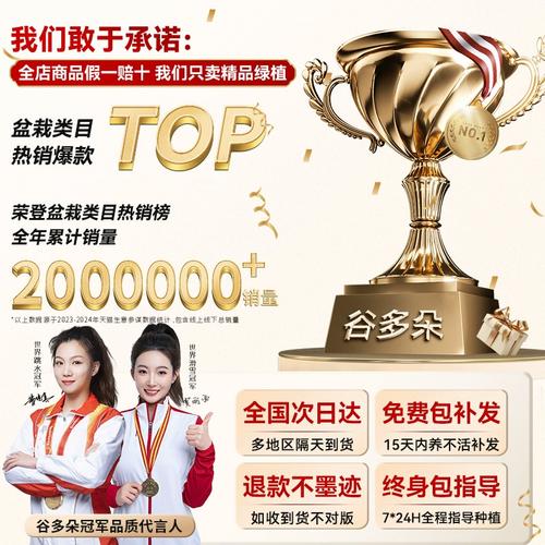 水培紫竹客厅养可行吗？-第2张图片-吾爱花网