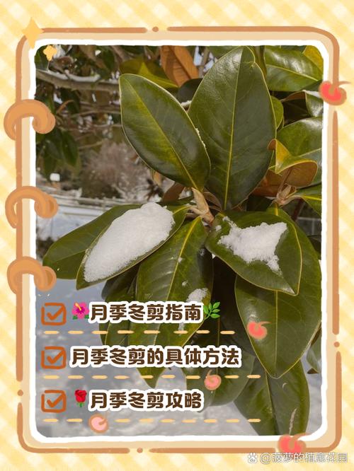 盆栽树叶冬季修剪有何技巧？-第1张图片-吾爱花网