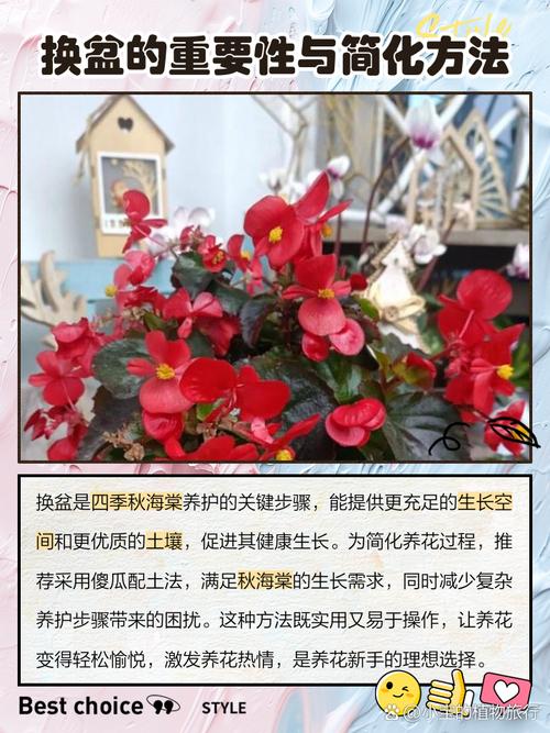 盆栽换季选啥时候最合适？-第1张图片-吾爱花网