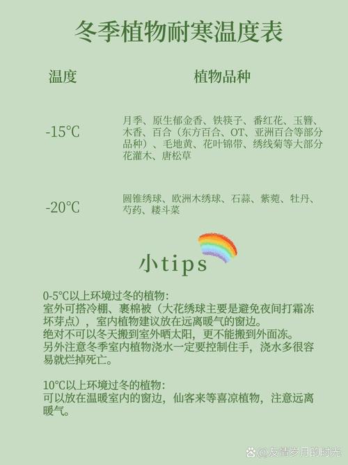 盆栽植物多少度该移入室内？-第2张图片-吾爱花网