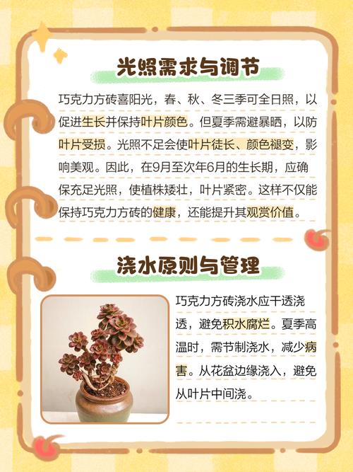 多肉巧克力方砖冻黑了-第3张图片-吾爱花网