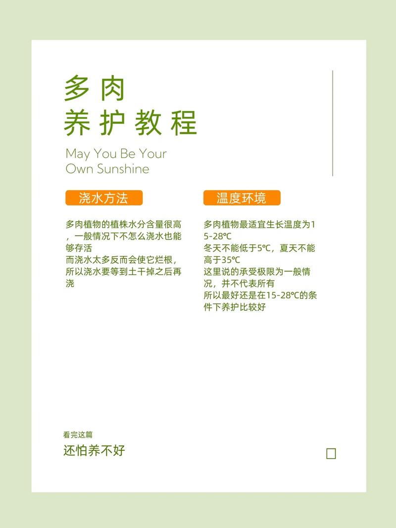 多肉花仙子的养殖方法-第2张图片-吾爱花网