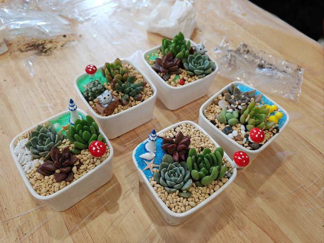 易拉罐多肉盆制作过程-第2张图片-吾爱花网