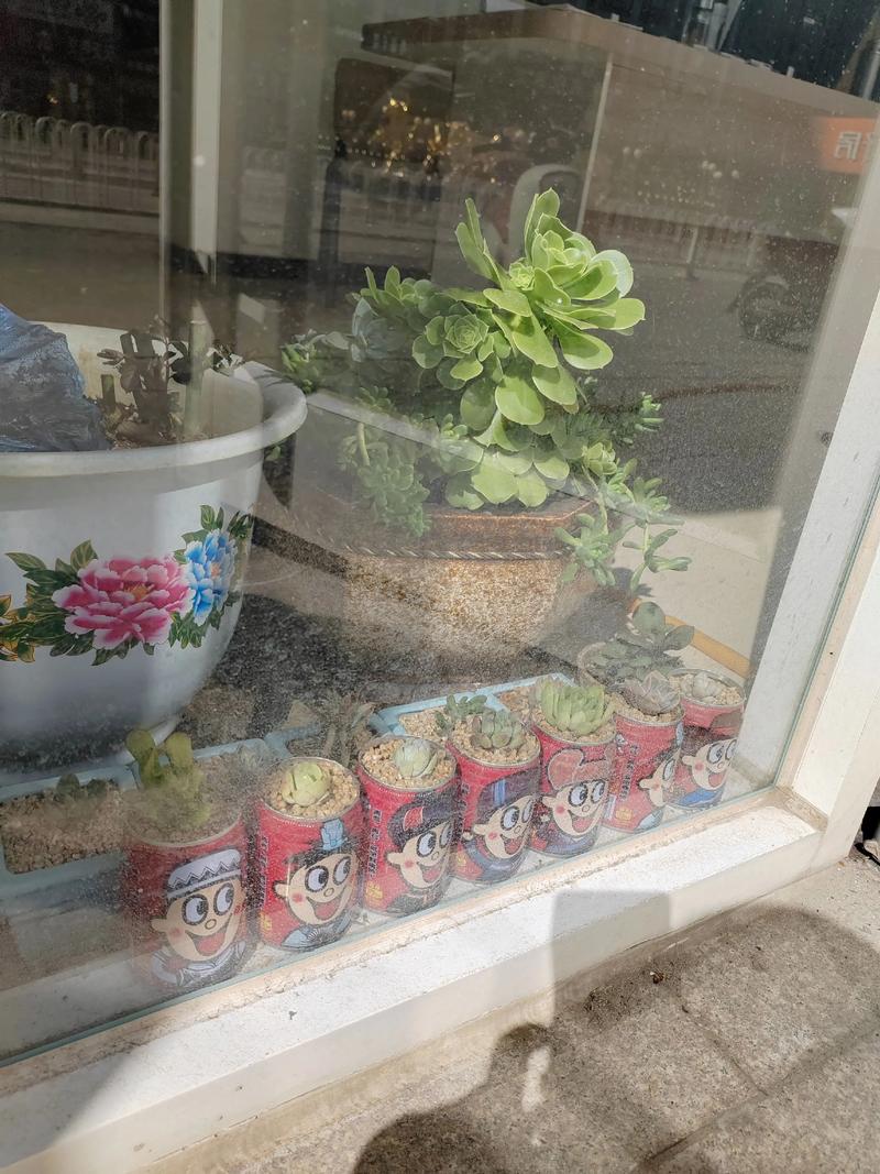 易拉罐多肉盆制作过程-第1张图片-吾爱花网