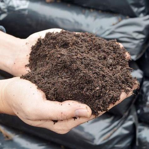 多肉植物土壤要怎么配才透气？-第3张图片-吾爱花网