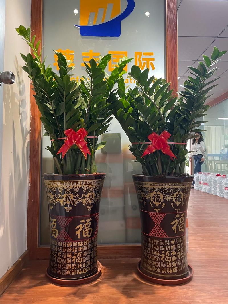 上门卖花卉盆栽赚钱吗-第1张图片-吾爱花网