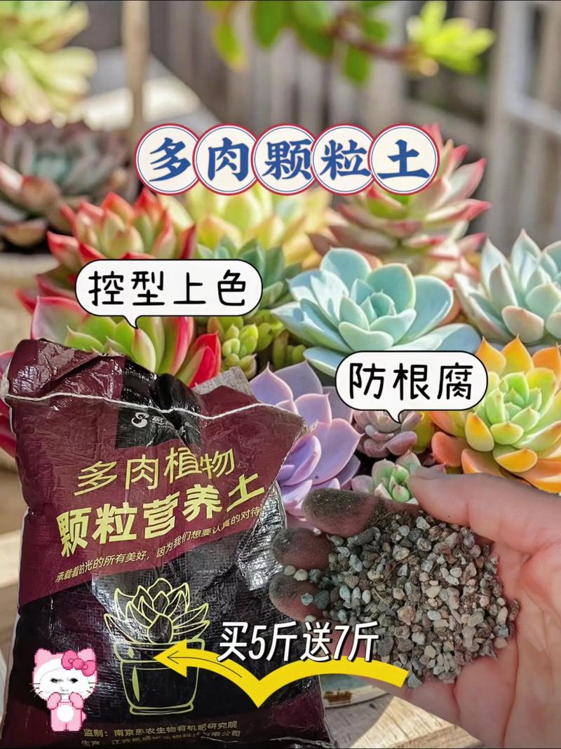 多肉植物能用泥土养吗？-第2张图片-吾爱花网
