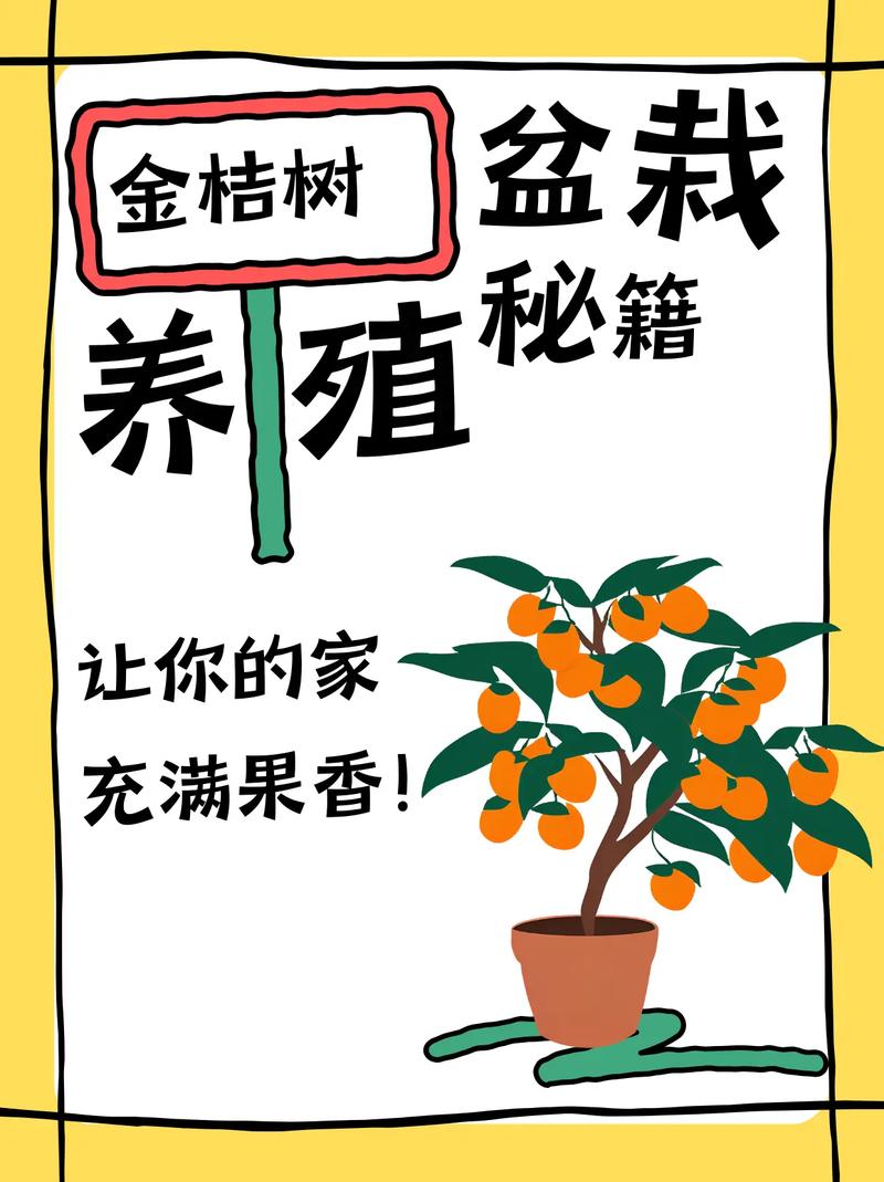 家庭盆栽小金桔怎么养才结果？-第1张图片-吾爱花网