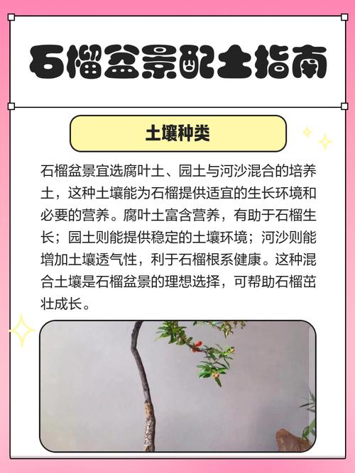 盆栽石榴种植用什么土-第1张图片-吾爱花网 盆栽石榴种植用什么土-第1张图片-吾爱花网