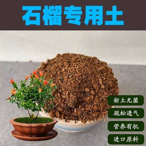 盆栽石榴种植用什么土-第2张图片-吾爱花网 盆栽石榴种植用什么土-第2张图片-吾爱花网