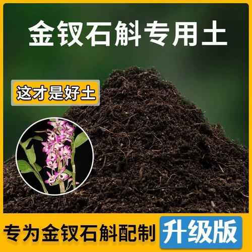 金钗石斛盆栽用什么土-第1张图片-吾爱花网