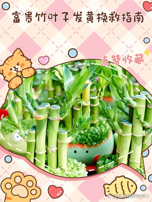 盆栽竹濒危，急救方法有哪些？-第2张图片-吾爱花网