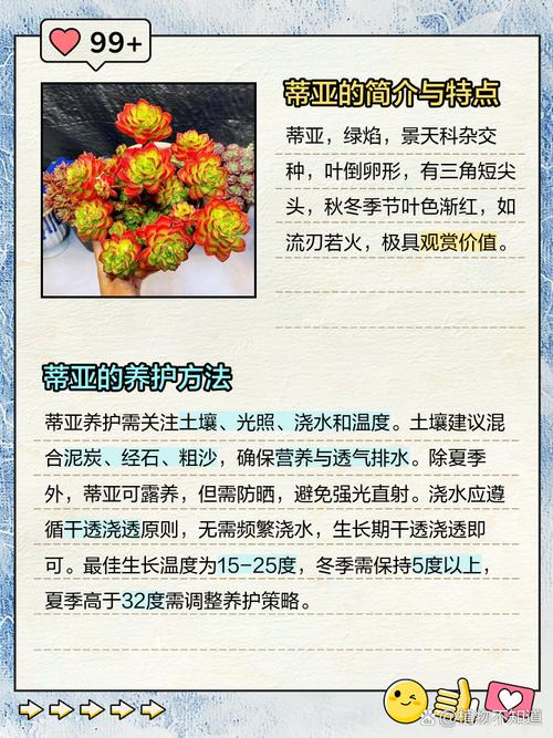 多肉蒂亚下层叶子变白-第2张图片-吾爱花网