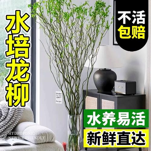 盆栽哪个季节容易成活-第3张图片-吾爱花网