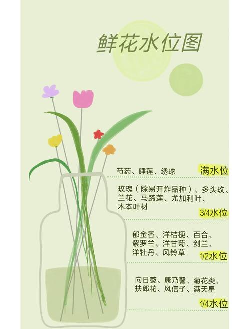 水培花卉的养护管理要点-第1张图片-吾爱花网