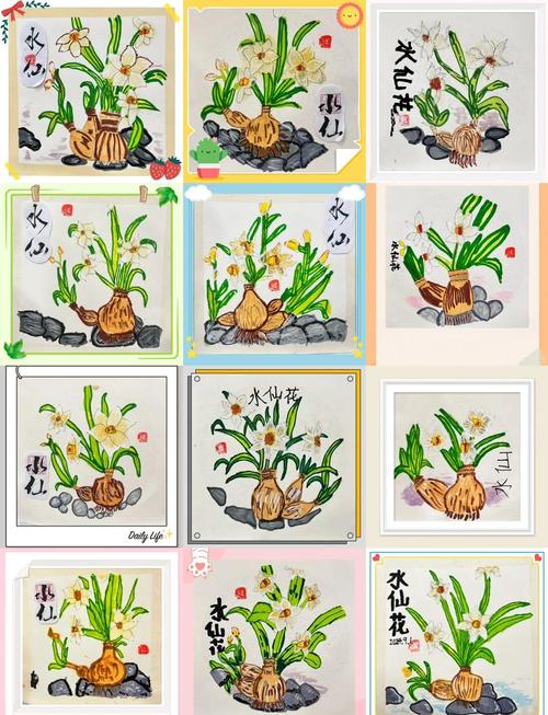 水培水仙开花后怎么处理-第2张图片-吾爱花网