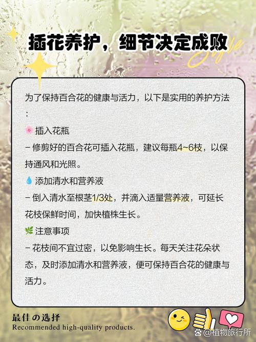 百合花苞水培怎么养才能开好花？-第1张图片-吾爱花网