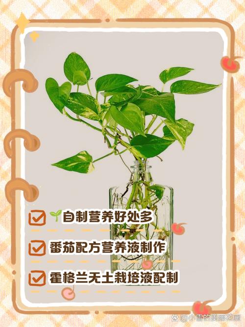 水培营养液一次到底该加几滴？-第2张图片-吾爱花网