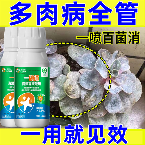 新买多肉怎么消毒？-第2张图片-吾爱花网