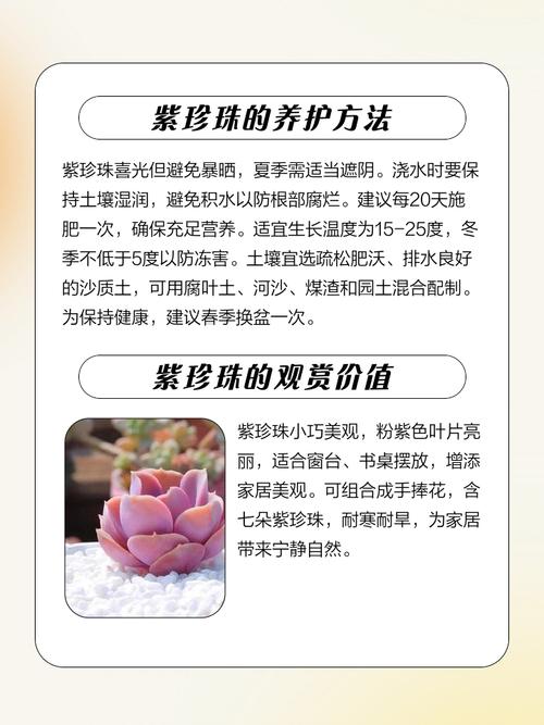 紫珍珠为何长期不长？-第1张图片-吾爱花网