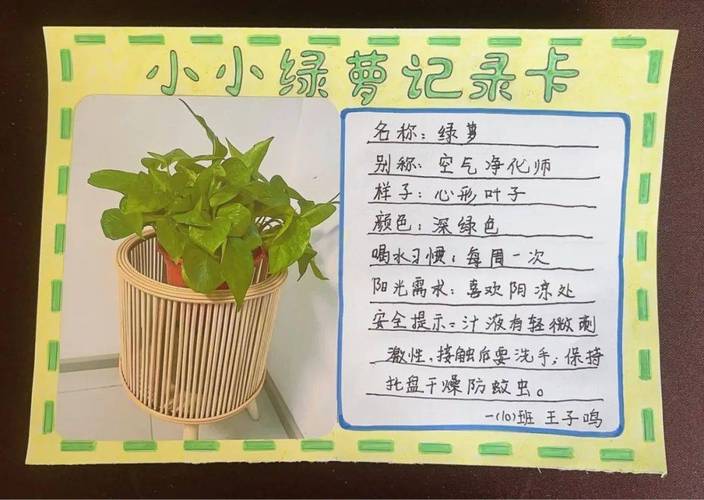 盆栽小标签该记哪些内容？-第1张图片-吾爱花网