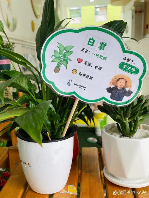 盆栽小标签该记哪些内容？-第2张图片-吾爱花网