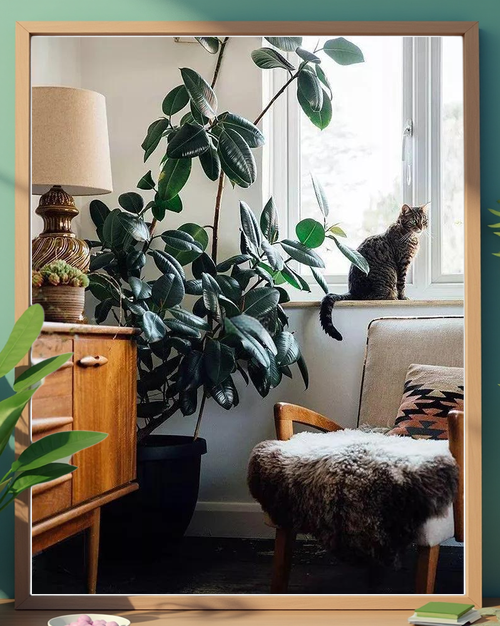 盆栽黑象皮树皮树图片怎么养？-第3张图片-吾爱花网