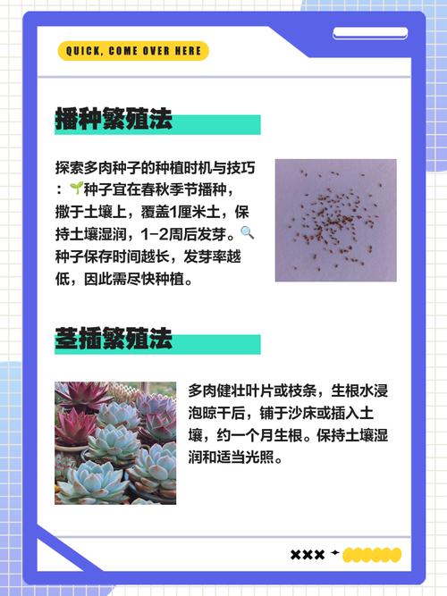 蓝豆怎么繁殖？-第2张图片-吾爱花网