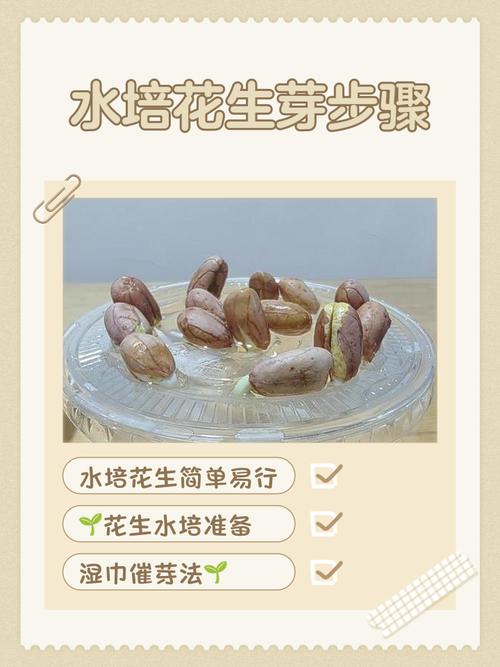 水培花放维C能促生根吗？-第3张图片-吾爱花网