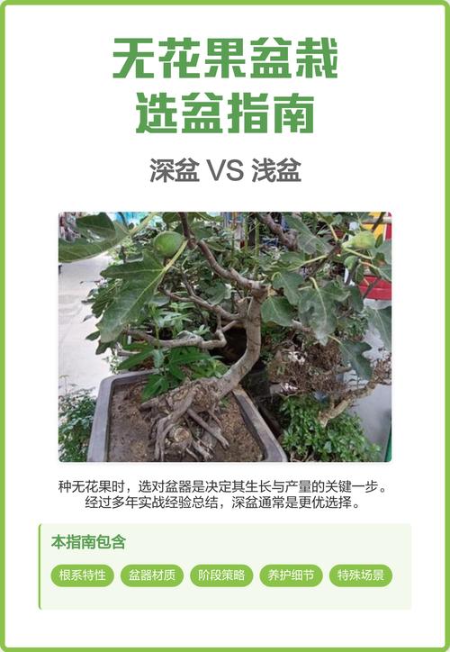 盆栽用粗沙还是细砂好？-第1张图片-吾爱花网