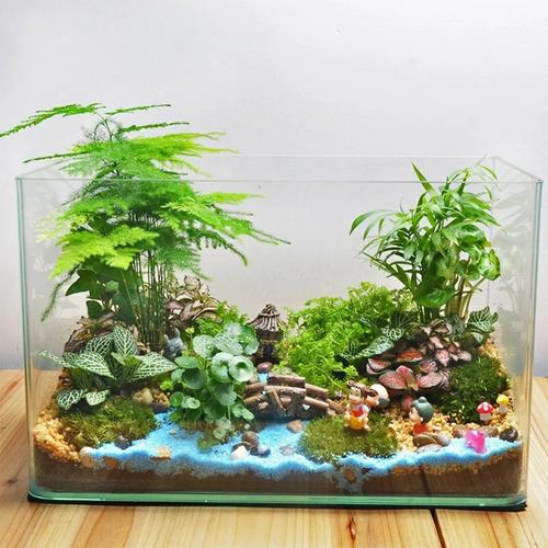 盆栽用粗沙还是细砂好？-第2张图片-吾爱花网