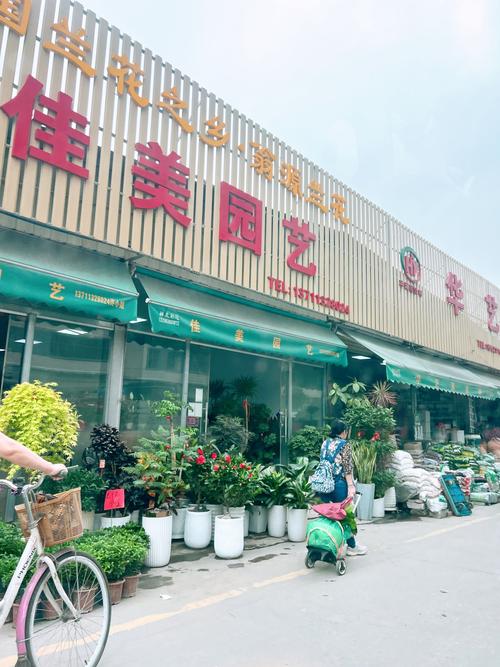 盆栽店名字有哪些创意灵感？-第3张图片-吾爱花网