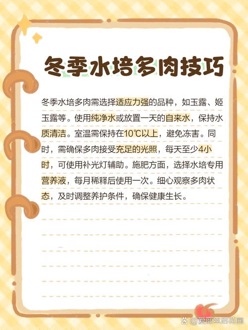 多肉水培能全泡水里吗？-第3张图片-吾爱花网