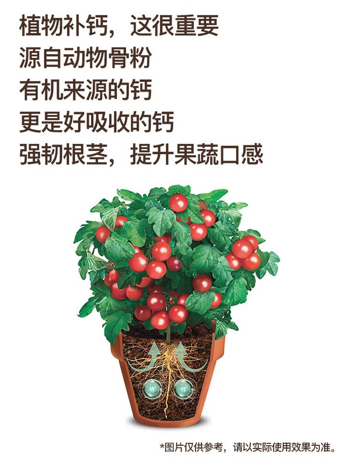 盆栽骨粉怎么用？施肥技巧有哪些？-第3张图片-吾爱花网