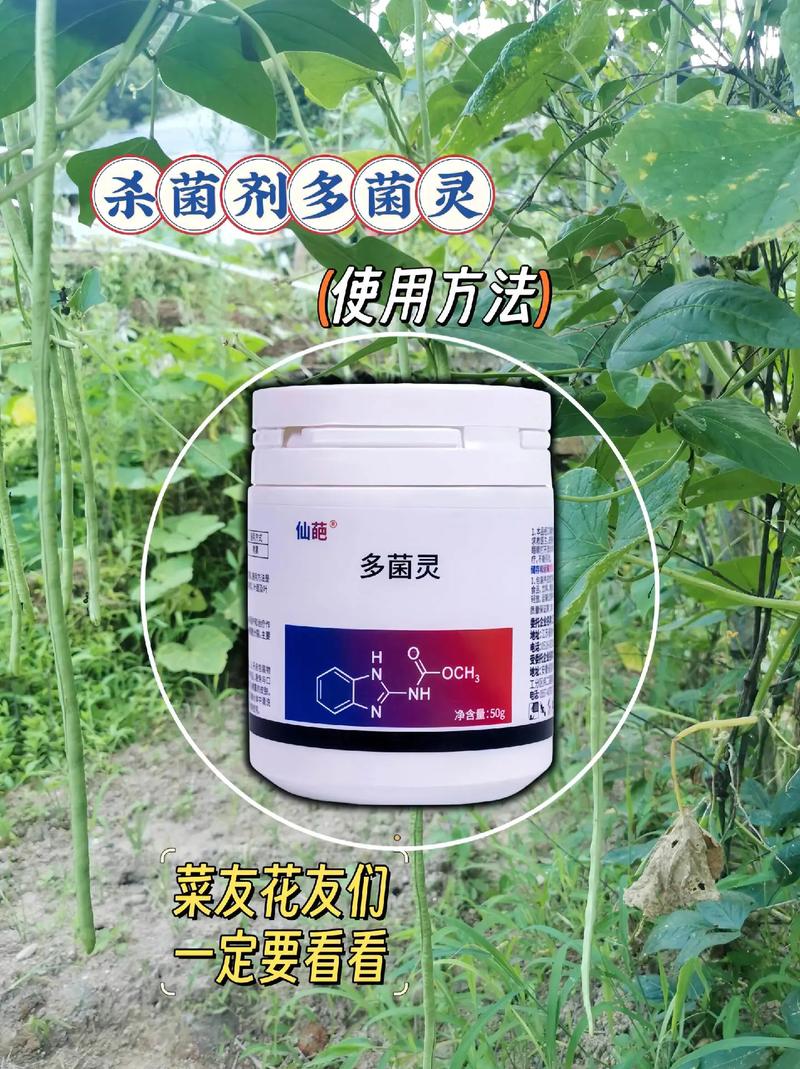 多肉有根能直接泡多菌灵吗?-第3张图片-吾爱花网 多肉有根能直接泡多菌灵吗?-第3张图片-吾爱花网