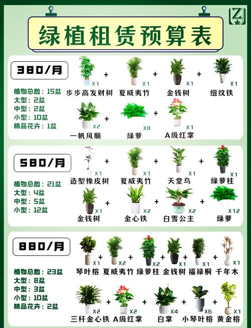 郑州盆栽绿萝价格现在多少?-第1张图片-吾爱花网 郑州盆栽绿萝价格现在多少?-第1张图片-吾爱花网
