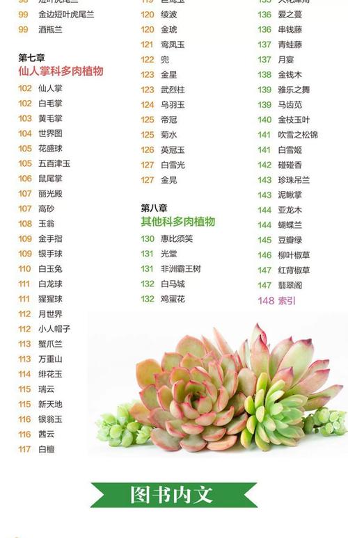 多肉名称图片欣赏，常见品种有哪些？-第2张图片-吾爱花网