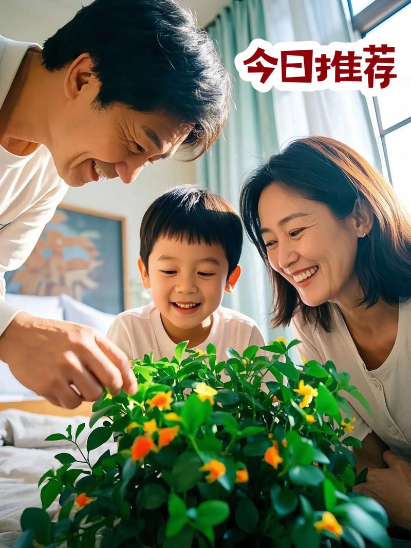 多肉金鱼吊兰如何养殖-第1张图片-吾爱花网