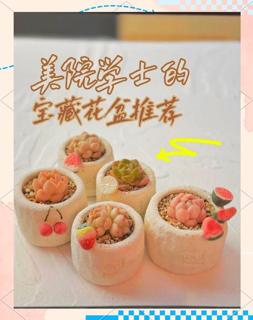 多肉花盆搭配有哪些实用技巧？-第2张图片-吾爱花网