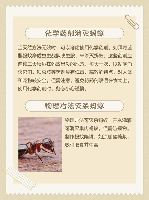 盆栽移到房间有蚂蚁吗-第2张图片-吾爱花网