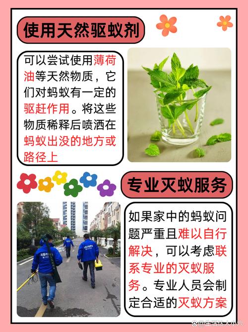 盆栽移到房间有蚂蚁吗-第3张图片-吾爱花网